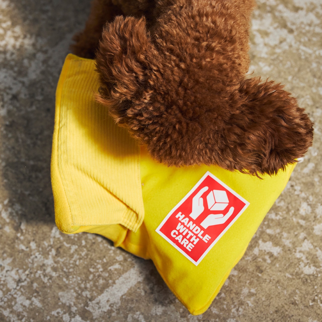 FLYING EXPRESS TOY | TOY | 犬服 MANDARINE BROTHERS マンダリン