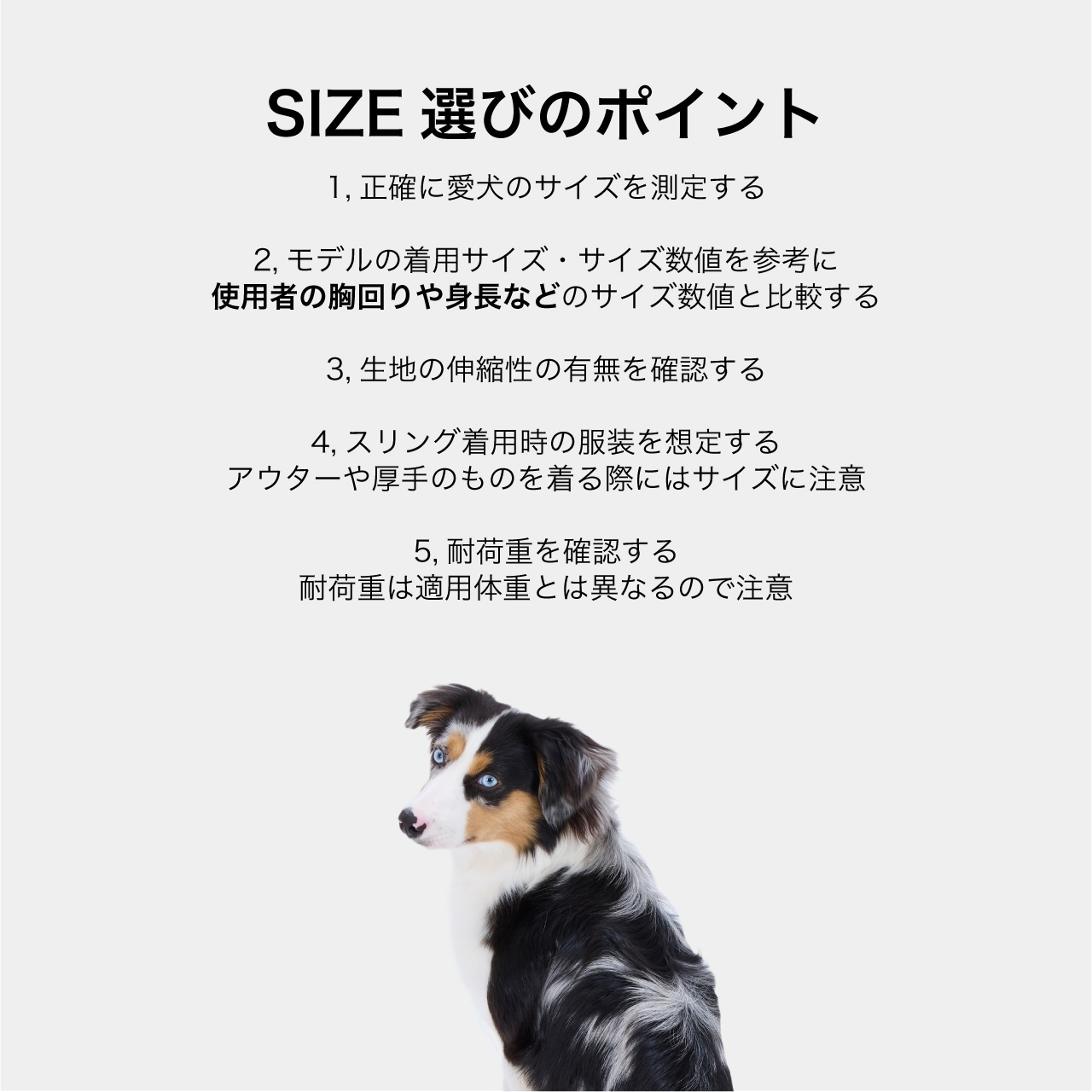 MESH DOG SLING