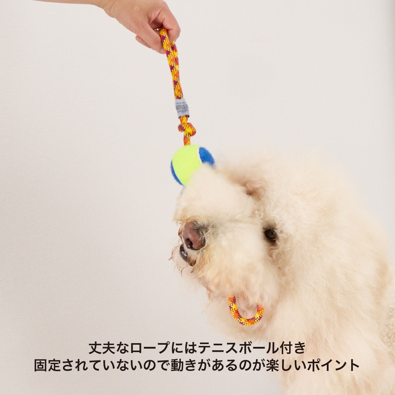 DIE HARD TOY | TOY | 犬服 MANDARINE BROTHERS マンダリン