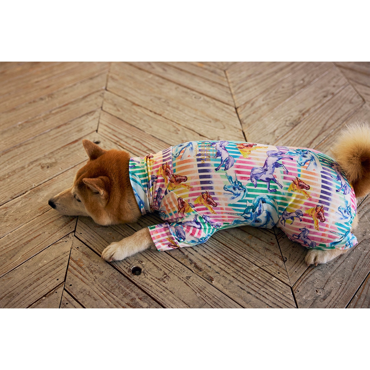 SKIN TIGHT SUIT MULTI PRINT