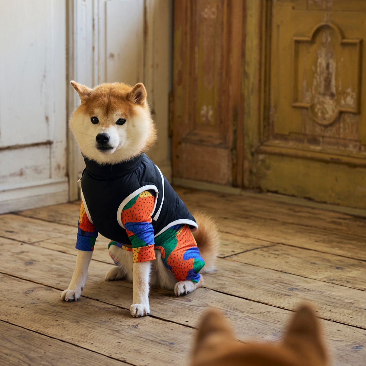 SKIN TIGHT SUIT MULTI PRINT