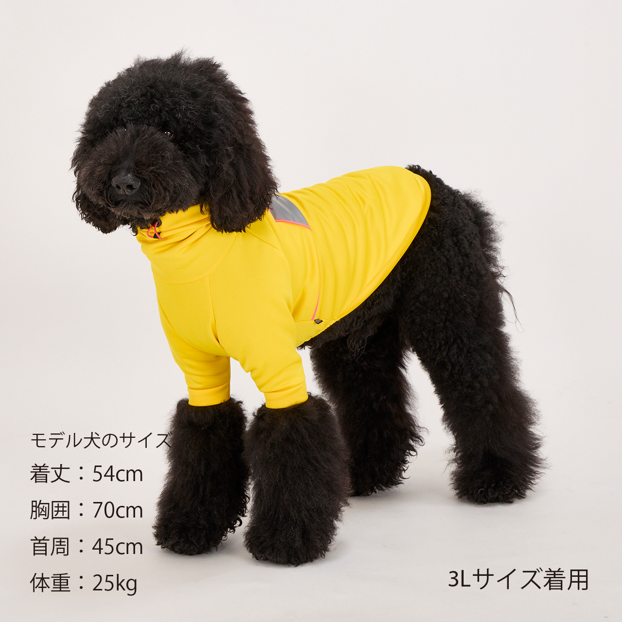 RAINPROOF PULLOVER