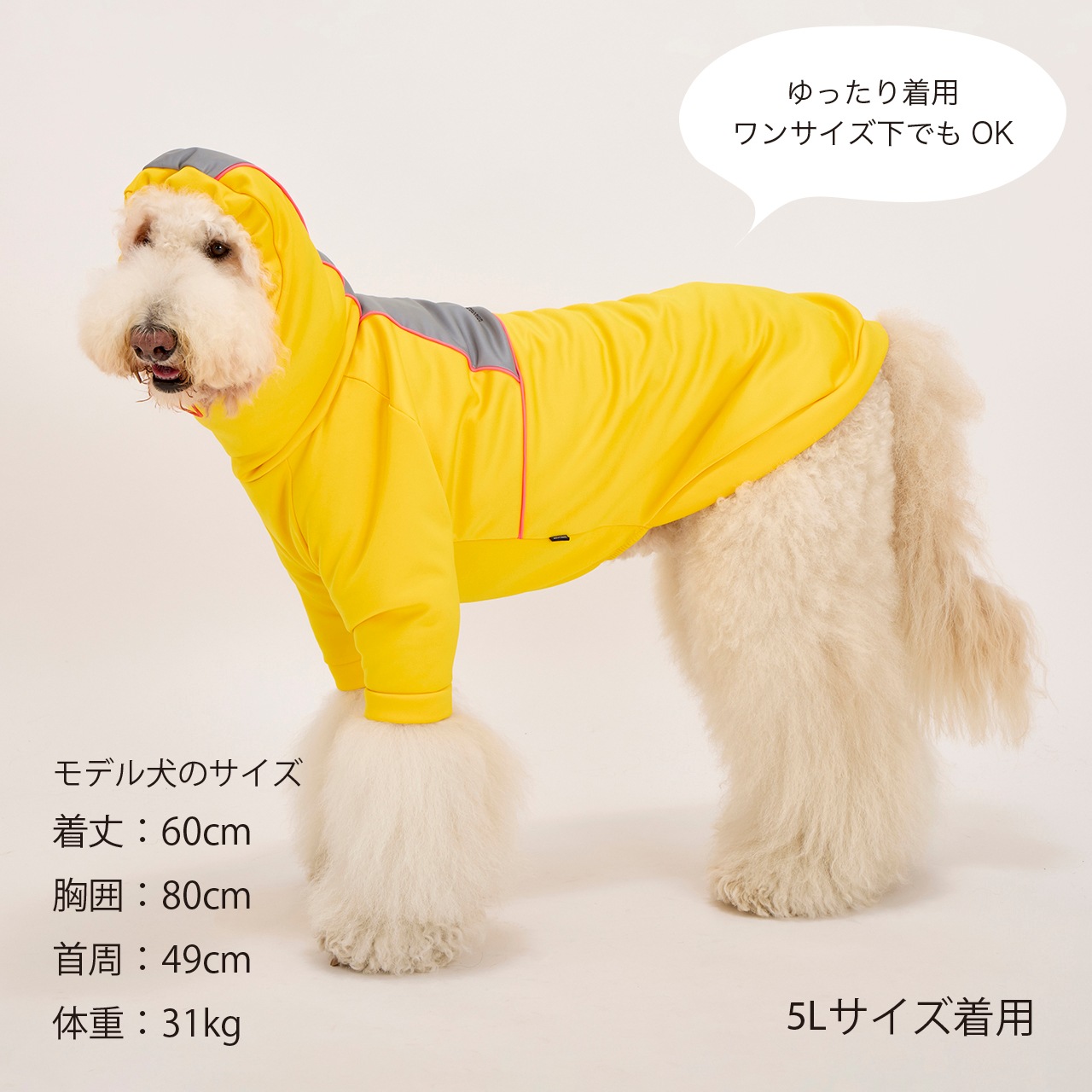 RAINPROOF PULLOVER