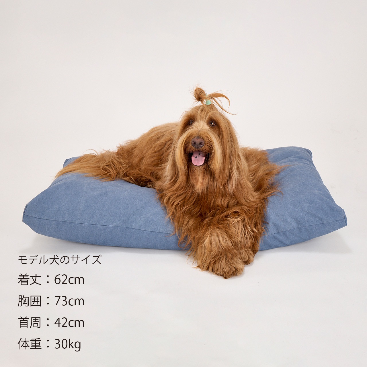 COZY BED | BED＆MAT | 犬服 MANDARINE BROTHERS マンダリンブラザーズ公式