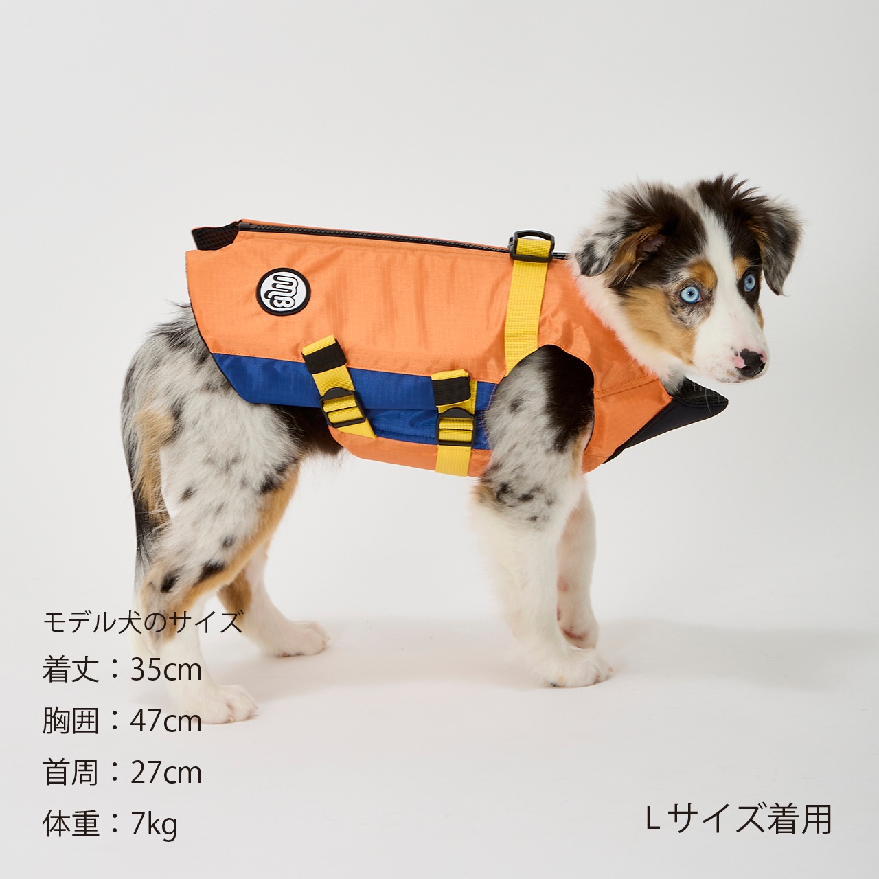 マンロクウェアLサイズ FLOATING JACKET | WEAR | 犬服 MANDARINE BROTHERS マンダリン