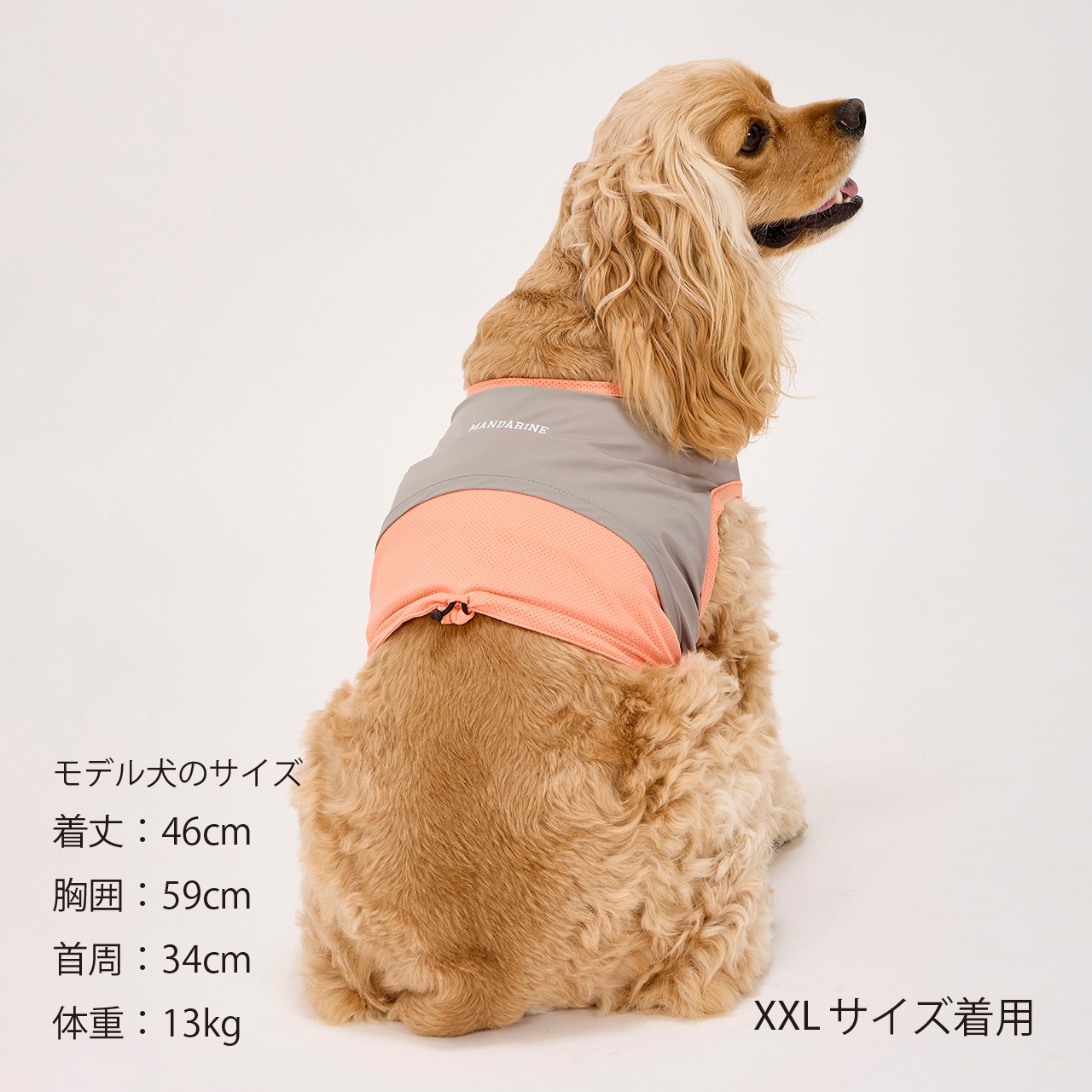 COOLING VEST