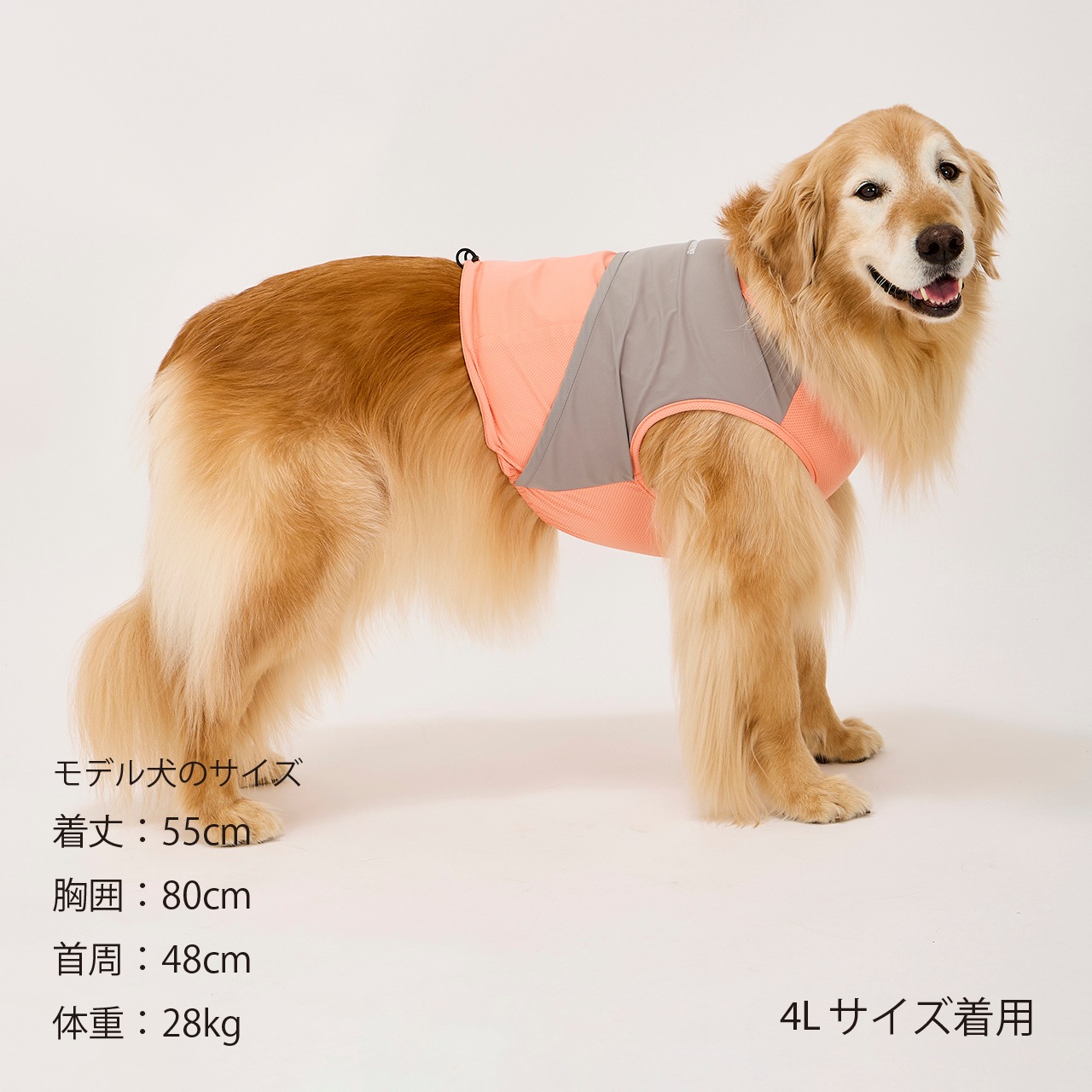 COOLING VEST