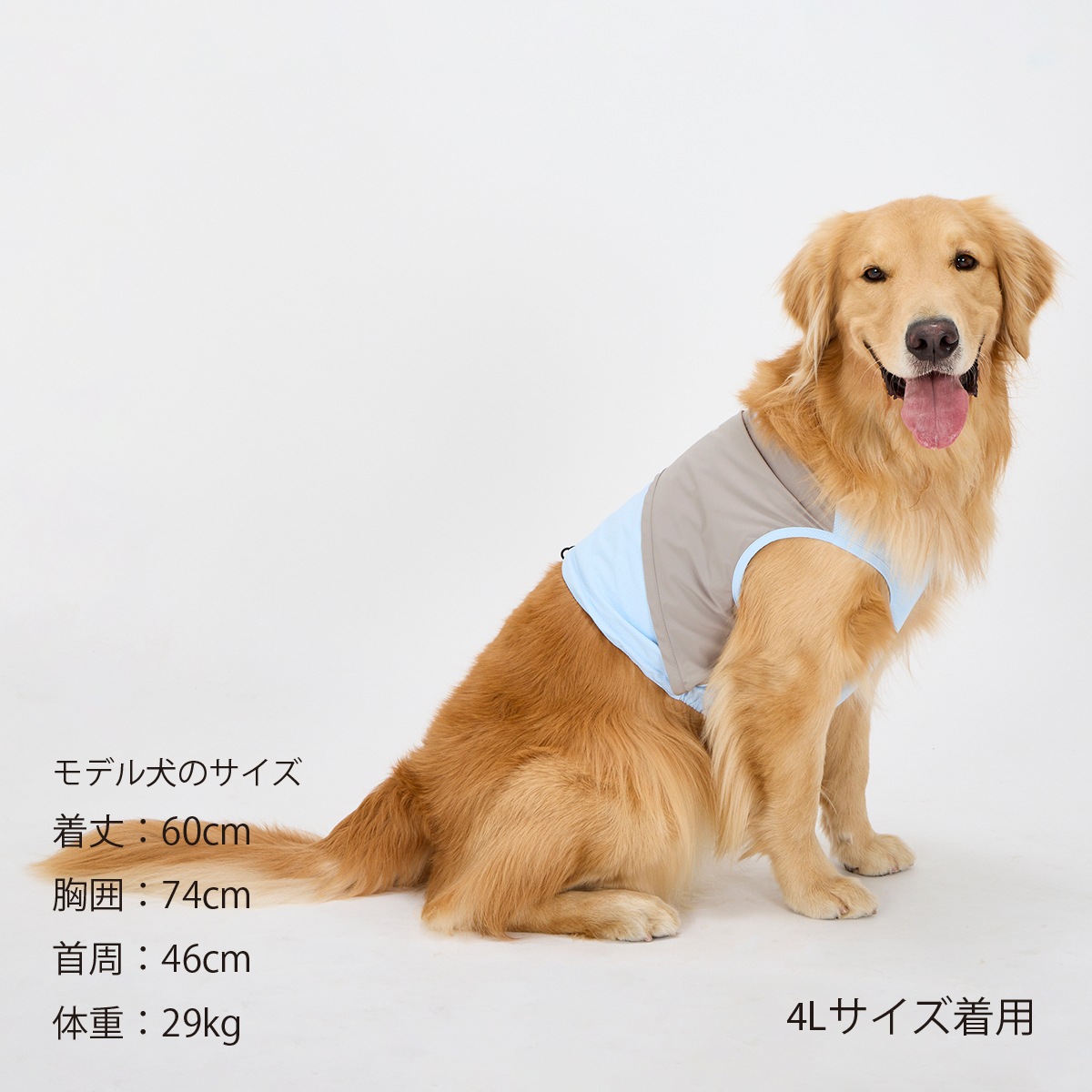 COOLING VEST