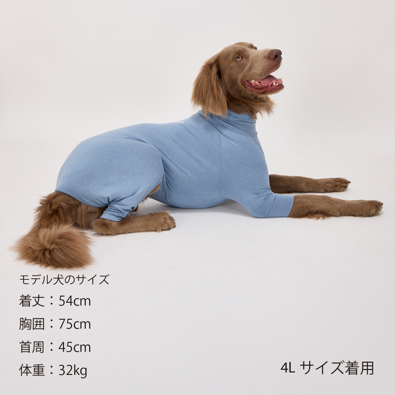 SKIN TIGHT SUIT | WEAR | 犬服 MANDARINE BROTHERS マンダリン