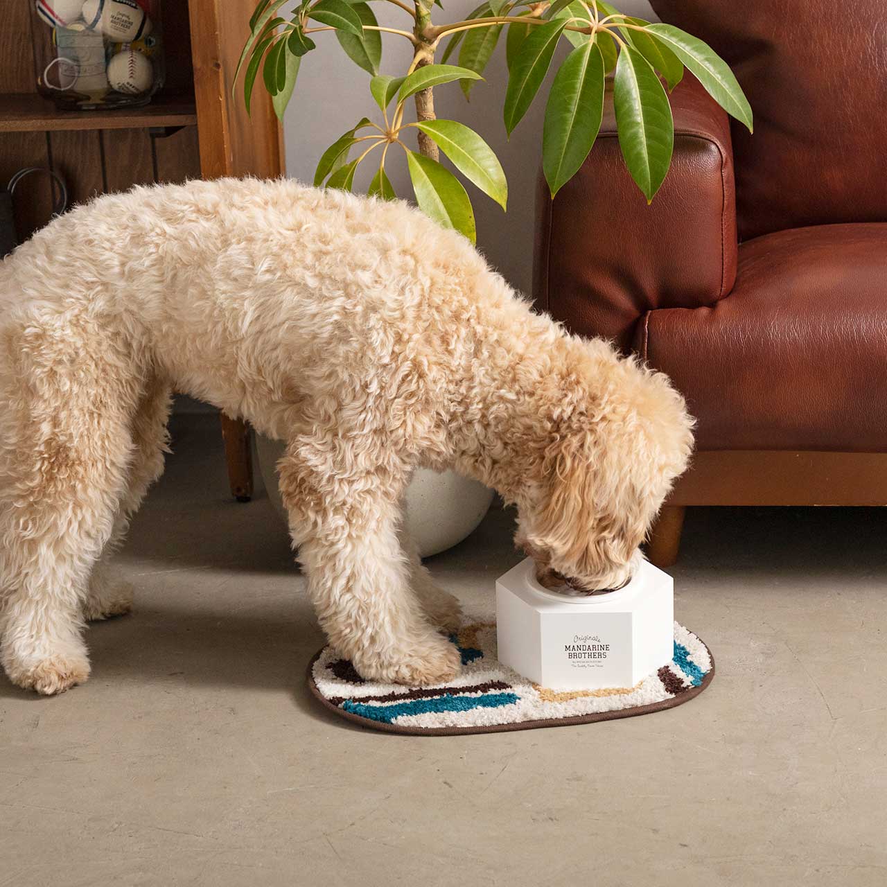 GEORUG×MB LIVING RUG