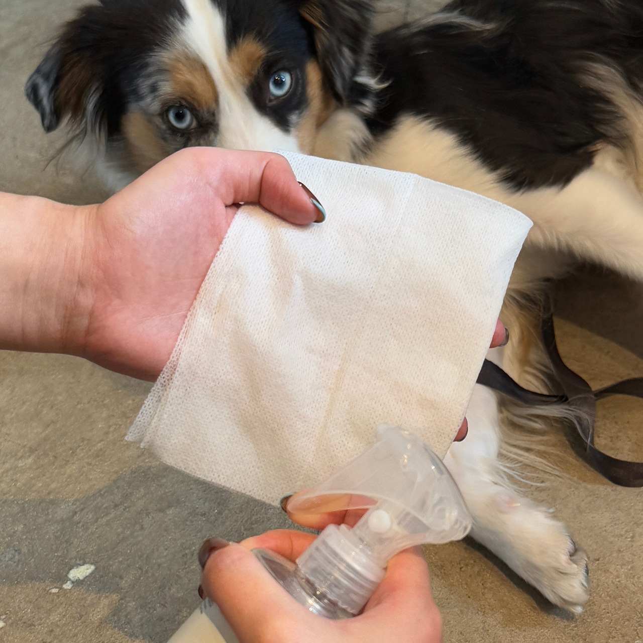 【WEB・直営店限定】ALL IN ONE SPRAY by WAFONA