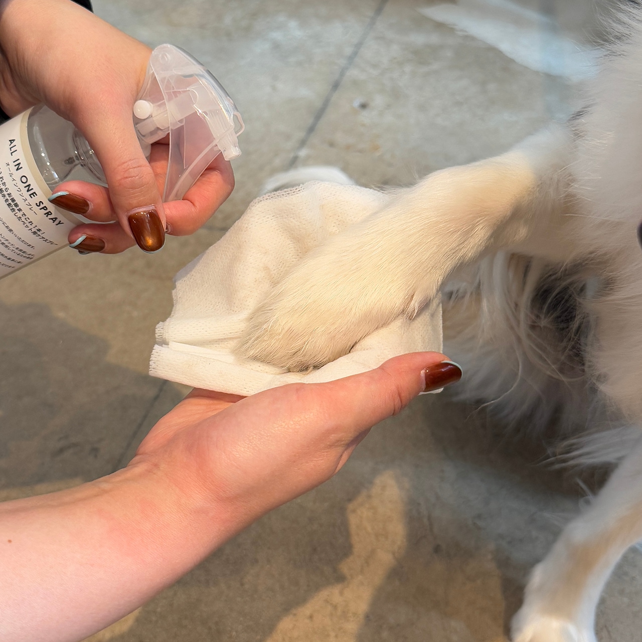 【WEB・直営店限定】ALL IN ONE SPRAY by WAFONA