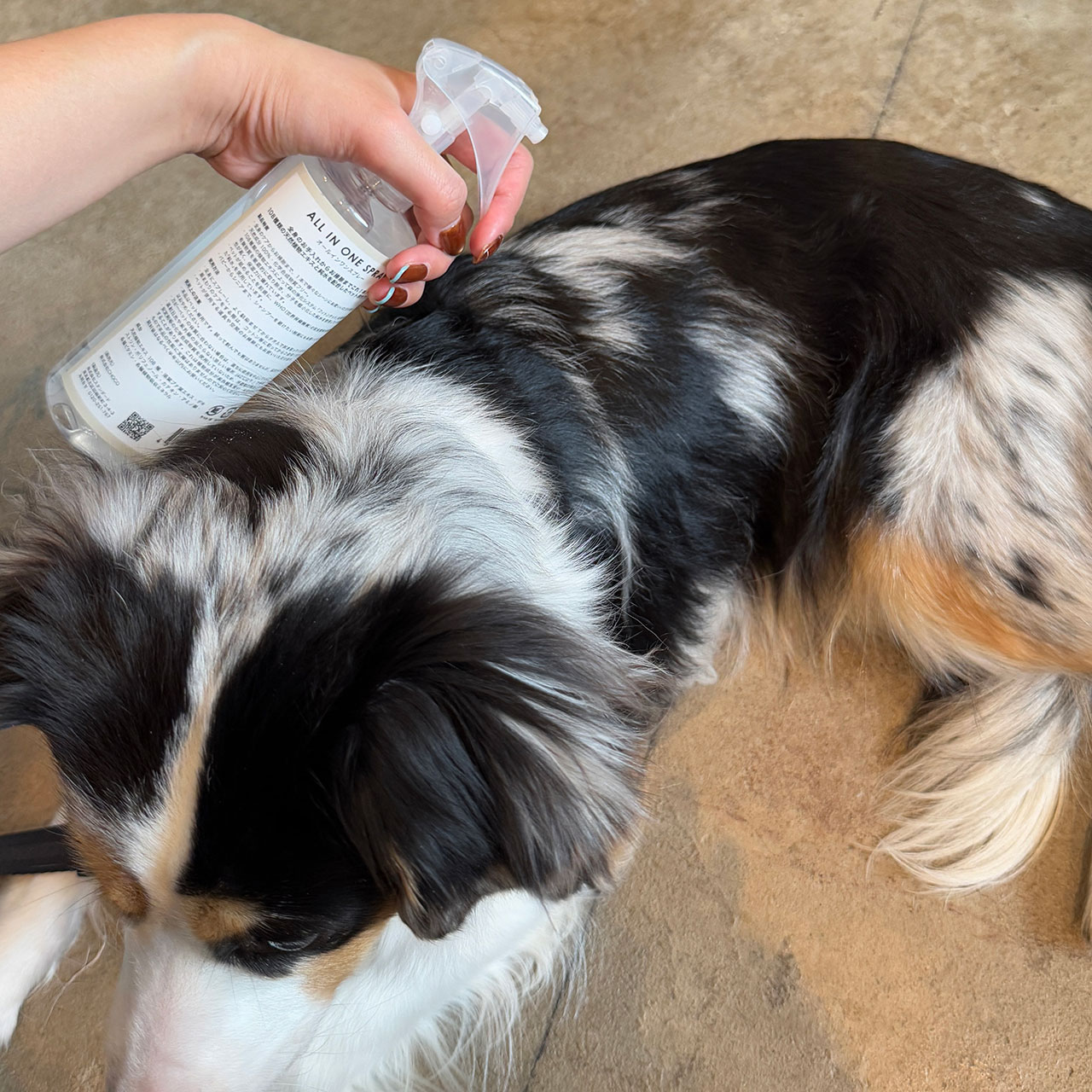 【WEB・直営店限定】ALL IN ONE SPRAY by WAFONA