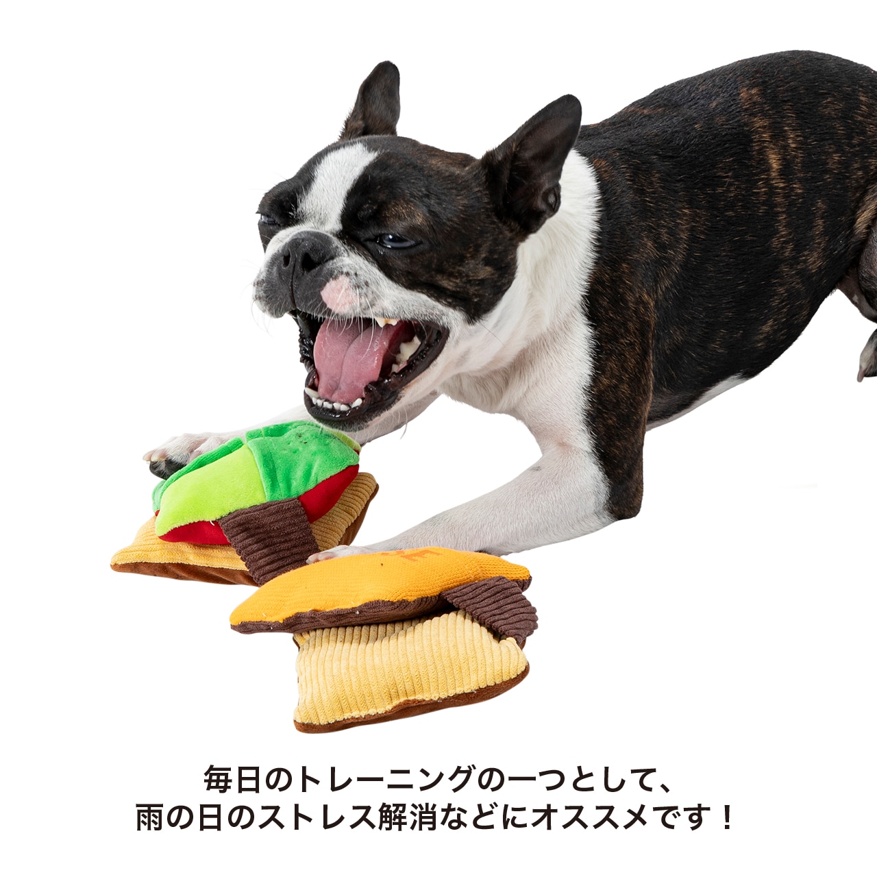 PANEL BURGER | TOY | 犬服 MANDARINE BROTHERS マンダリンブラザーズ公式