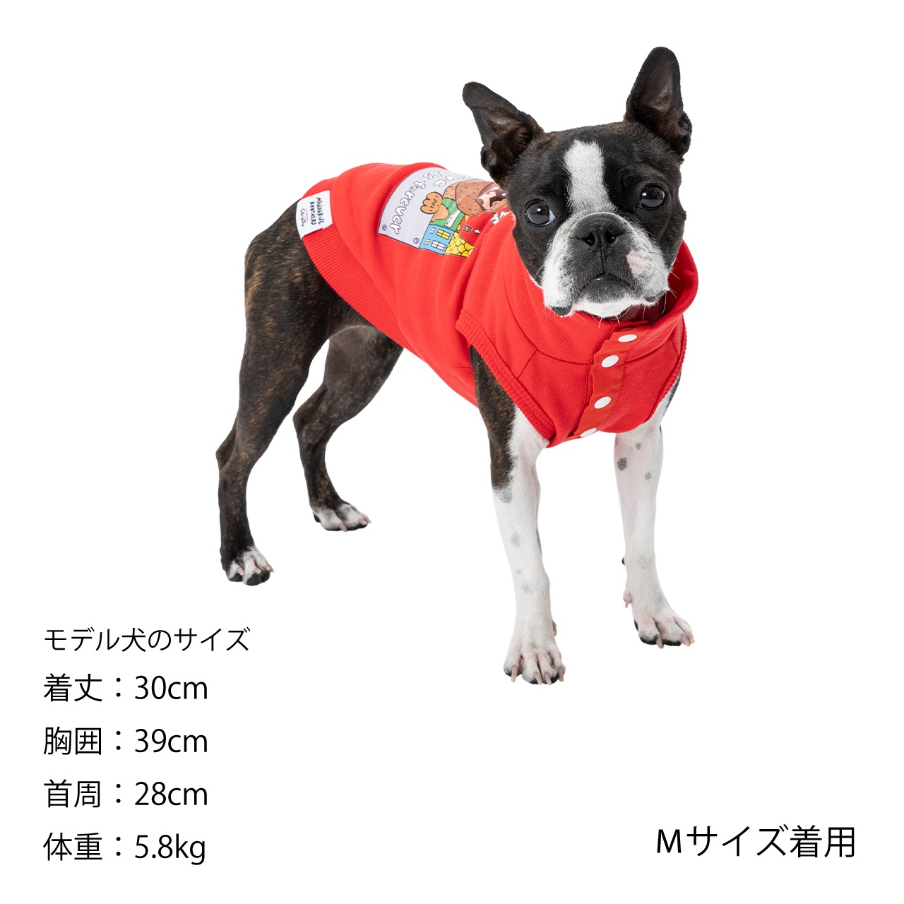 Chi-bee SNAP VEST | WEAR | 犬服 MANDARINE BROTHERS