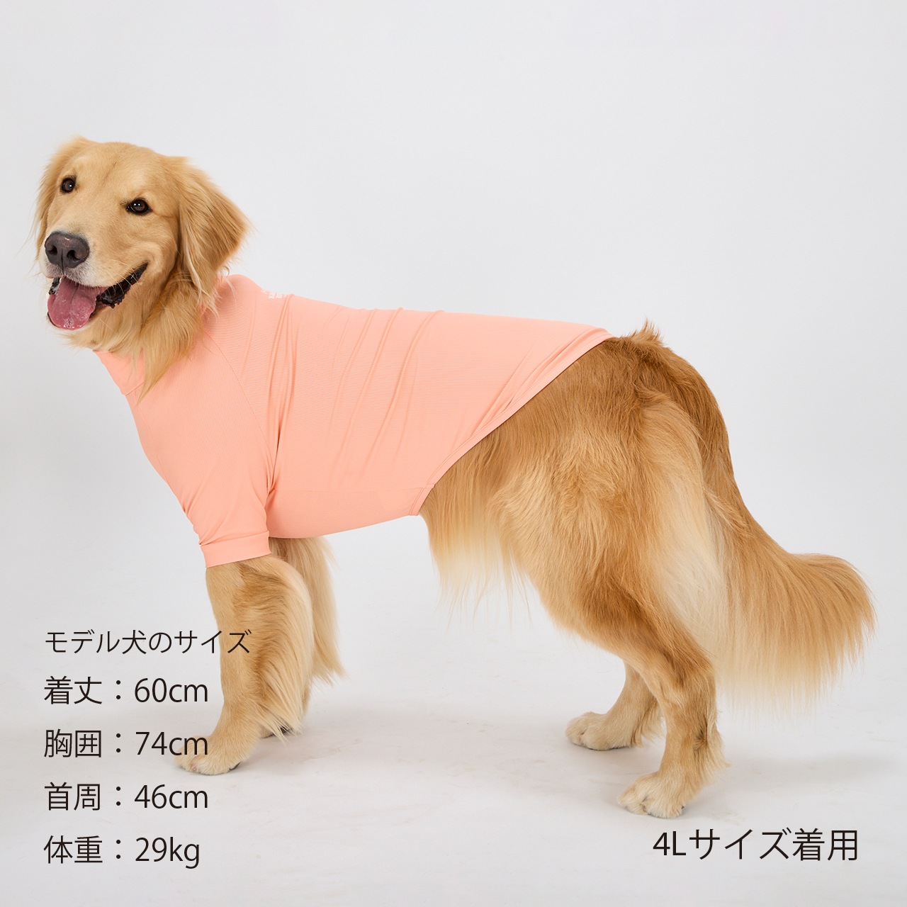 INSECT SHIELD SKIN TIGHT T-SHIRT