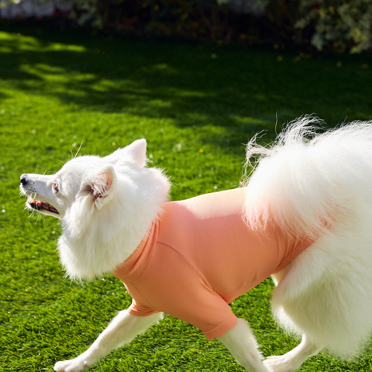 INSECT SHIELD SKIN TIGHT T-SHIRT