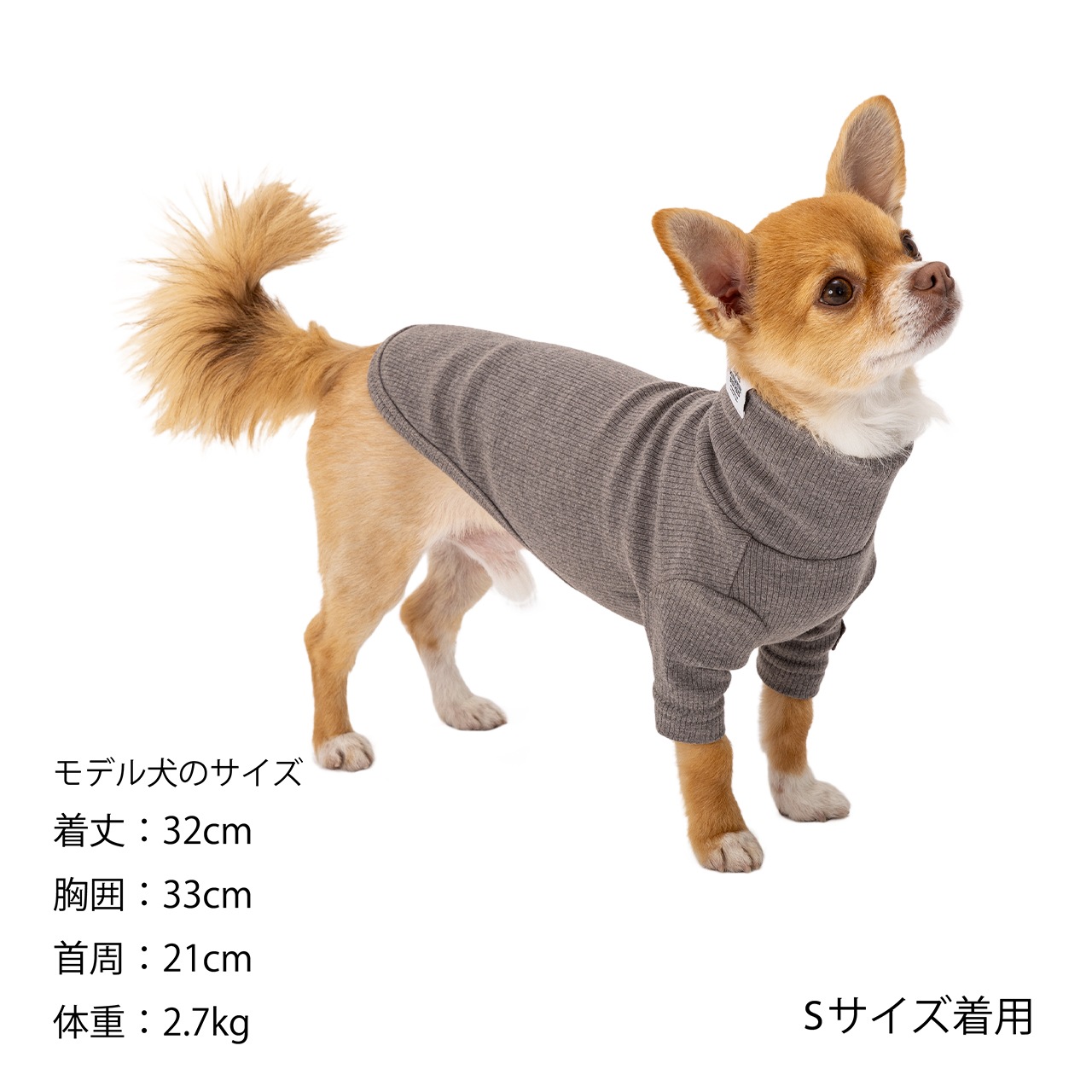 BASIC RIB T-SHIRT
