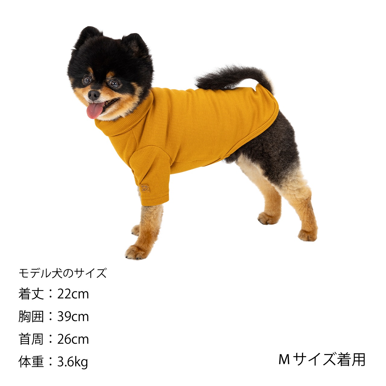 BASIC RIB T-SHIRT
