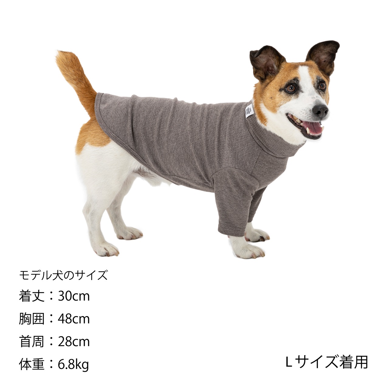 BASIC RIB T-SHIRT