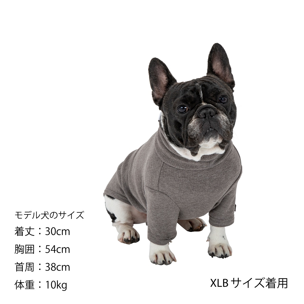 BASIC RIB T-SHIRT