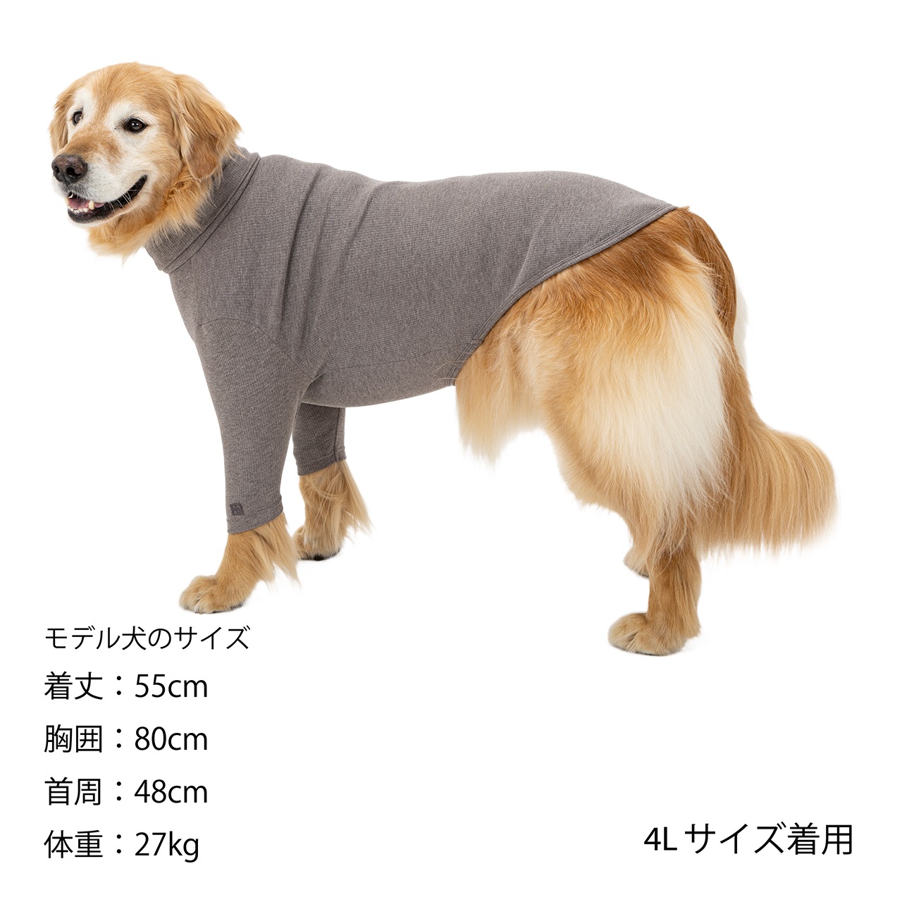 BASIC RIB T-SHIRT