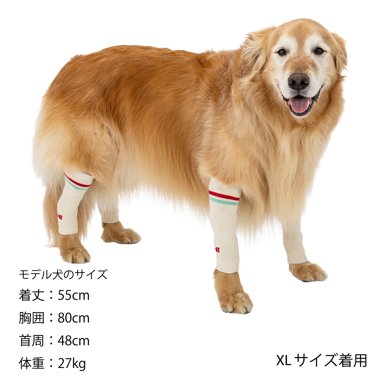 LEG WARMER
