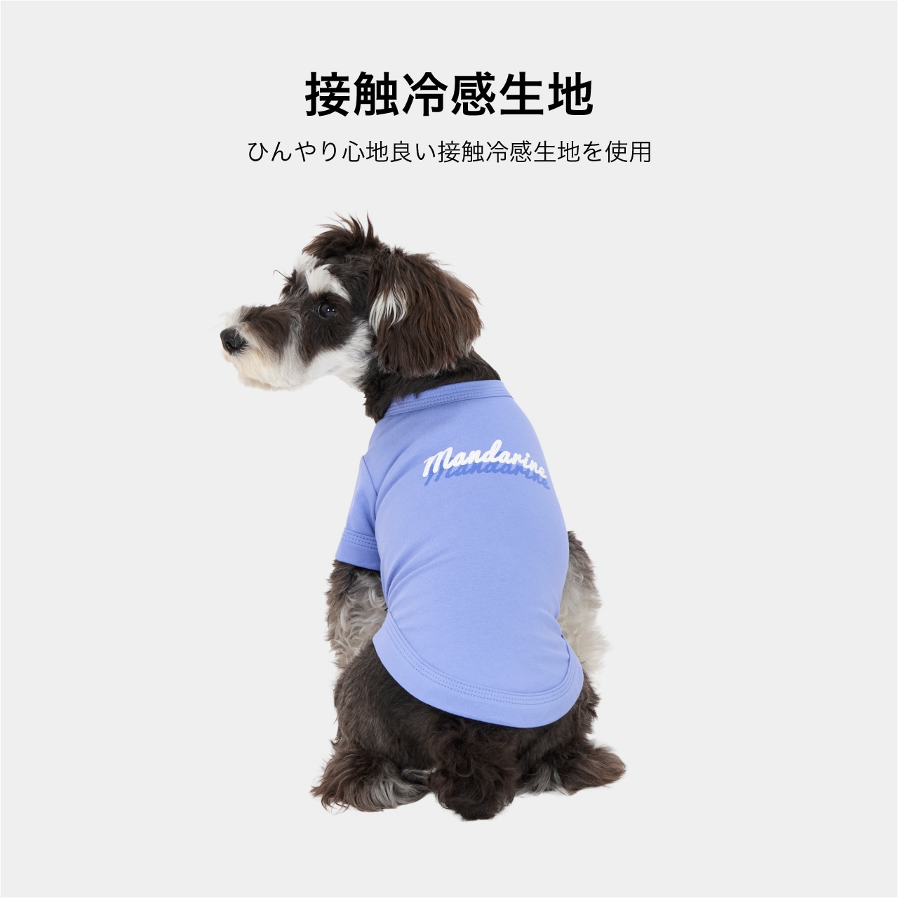 SHADOW LOGO COOL T-SHIRT