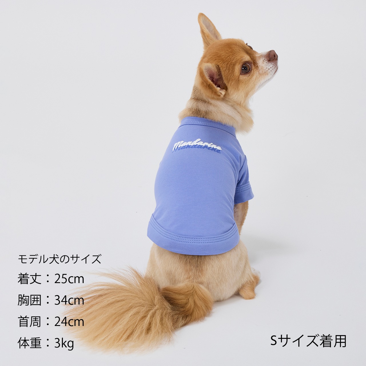 SHADOW LOGO COOL T-SHIRT