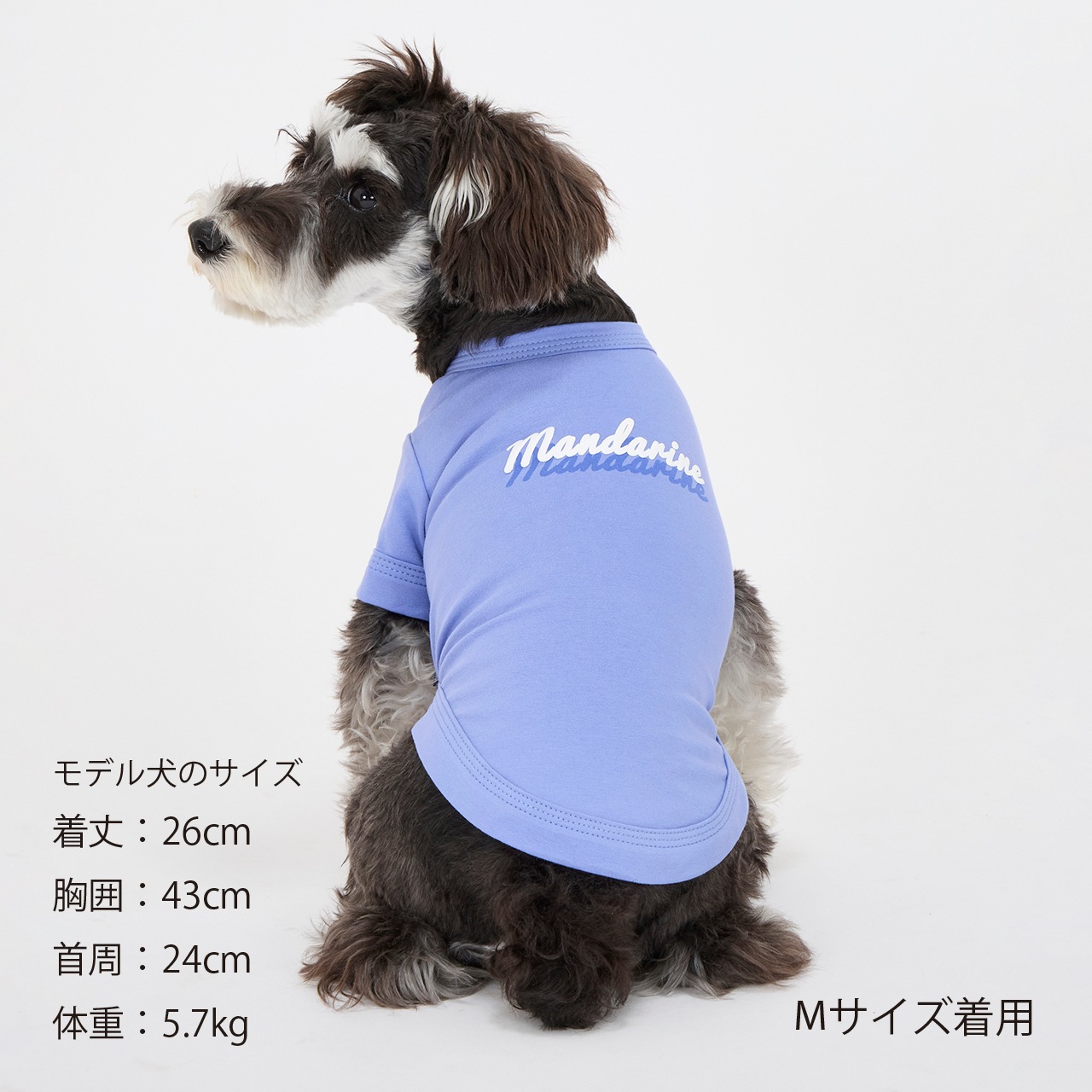 SHADOW LOGO COOL T-SHIRT