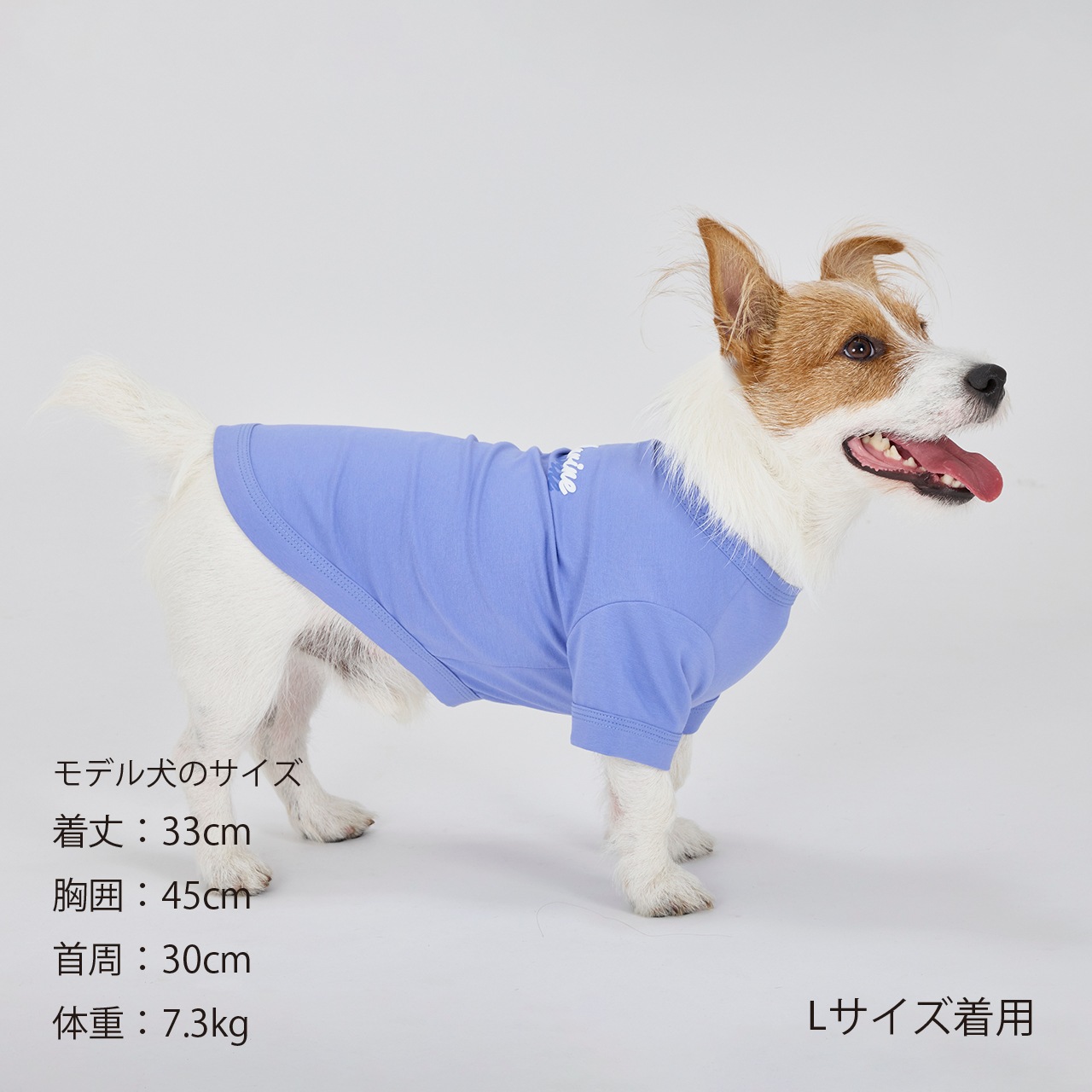 SHADOW LOGO COOL T-SHIRT