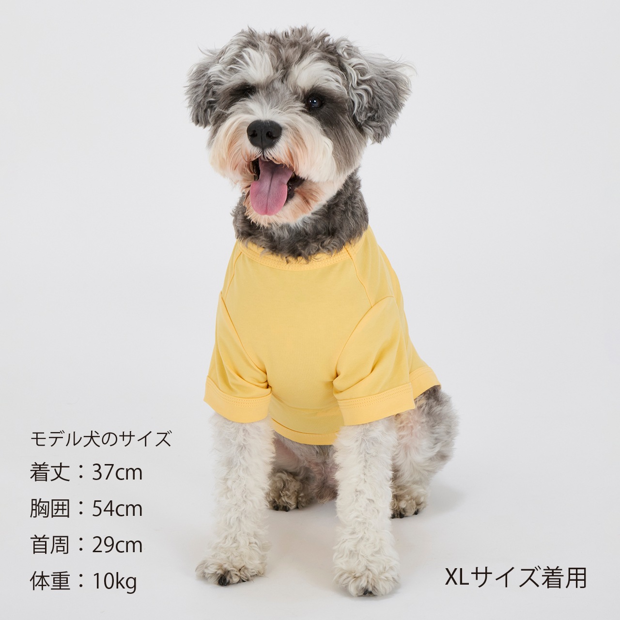 SHADOW LOGO COOL T-SHIRT