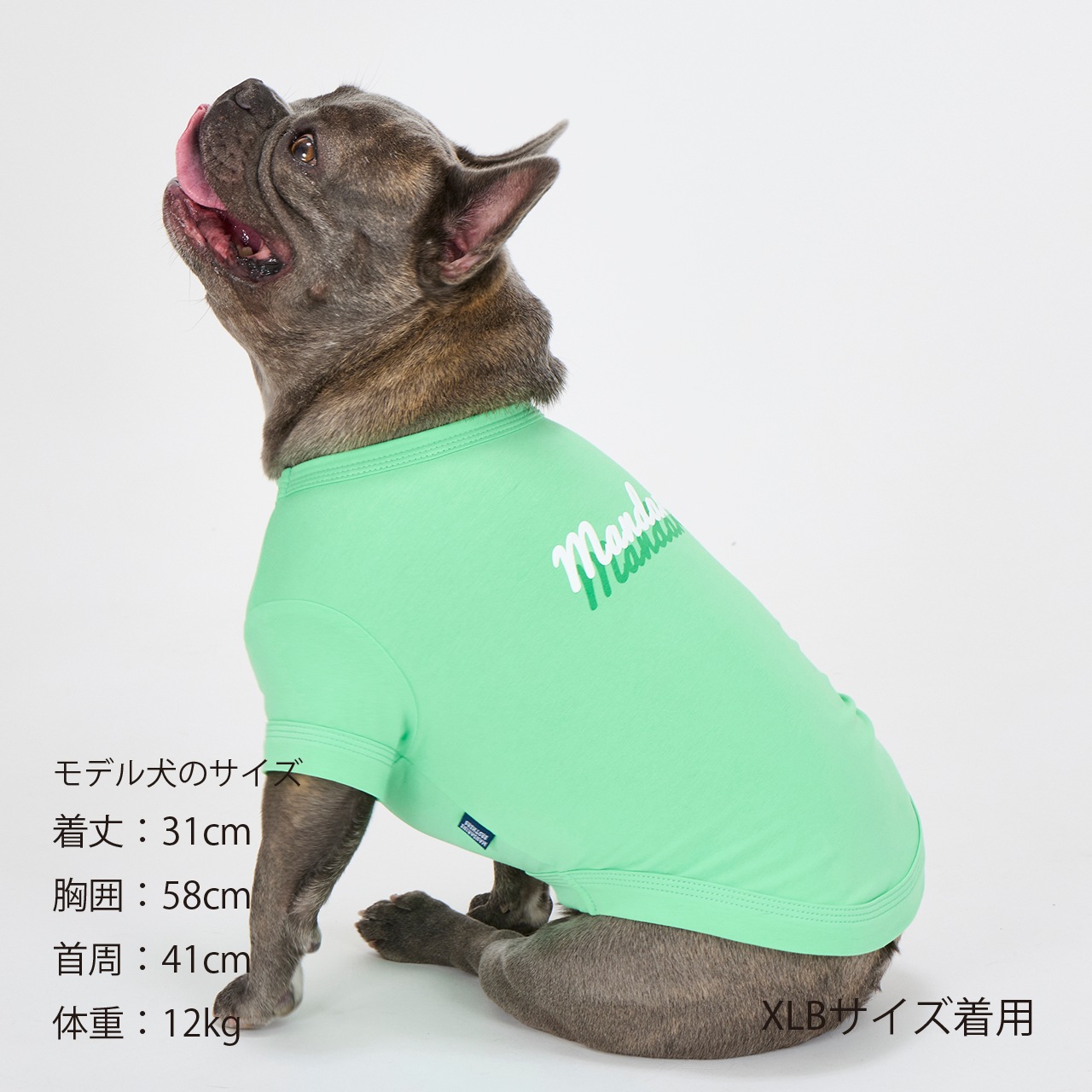 SHADOW LOGO COOL T-SHIRT