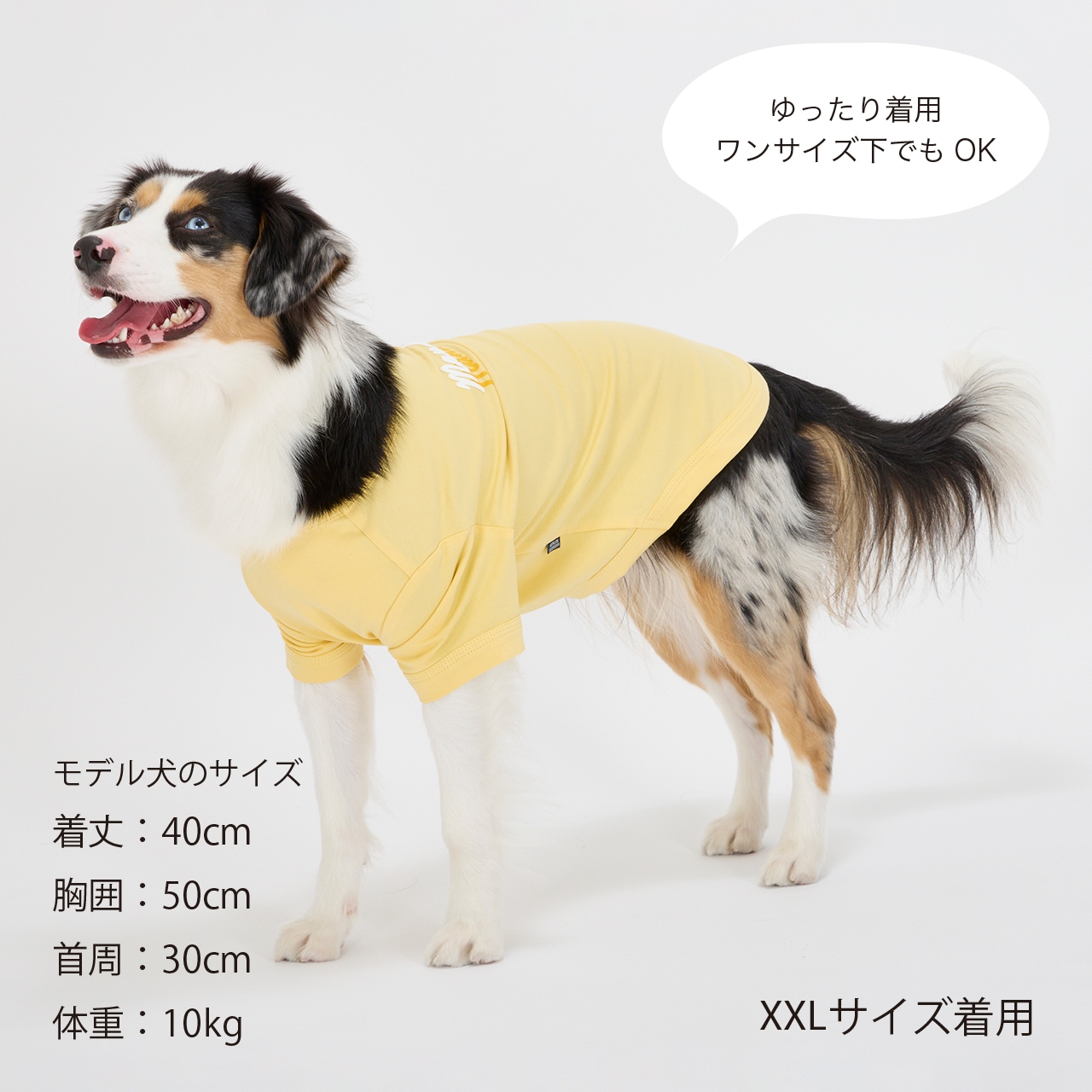 SHADOW LOGO COOL T-SHIRT