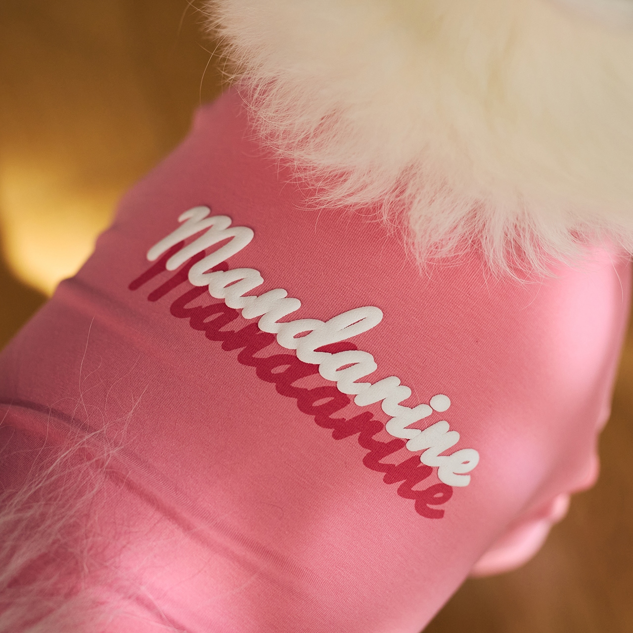 SHADOW LOGO COOL T-SHIRT