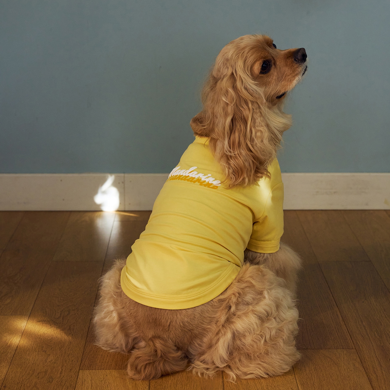 SHADOW LOGO COOL T-SHIRT