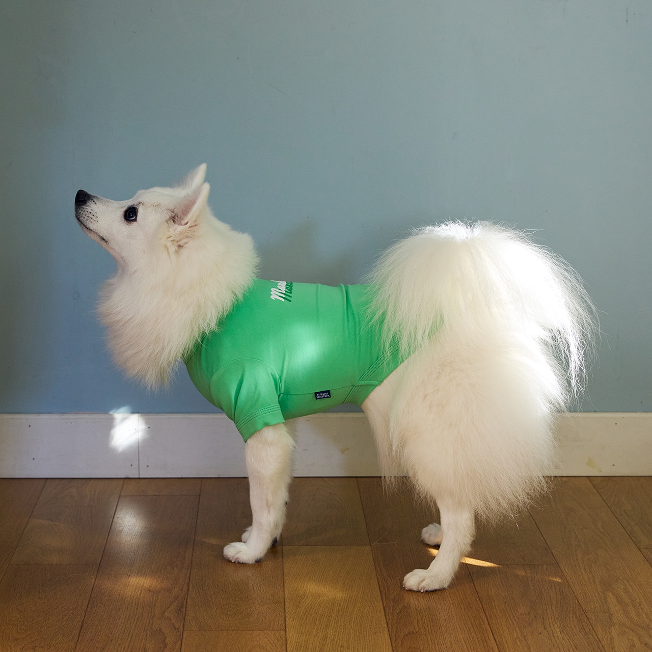 SHADOW LOGO COOL T-SHIRT