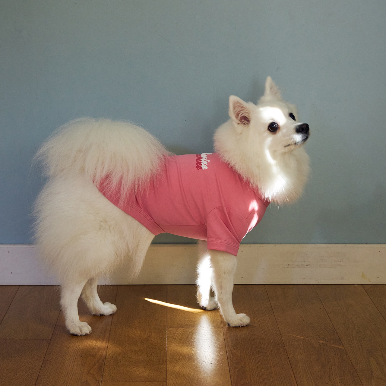 SHADOW LOGO COOL T-SHIRT