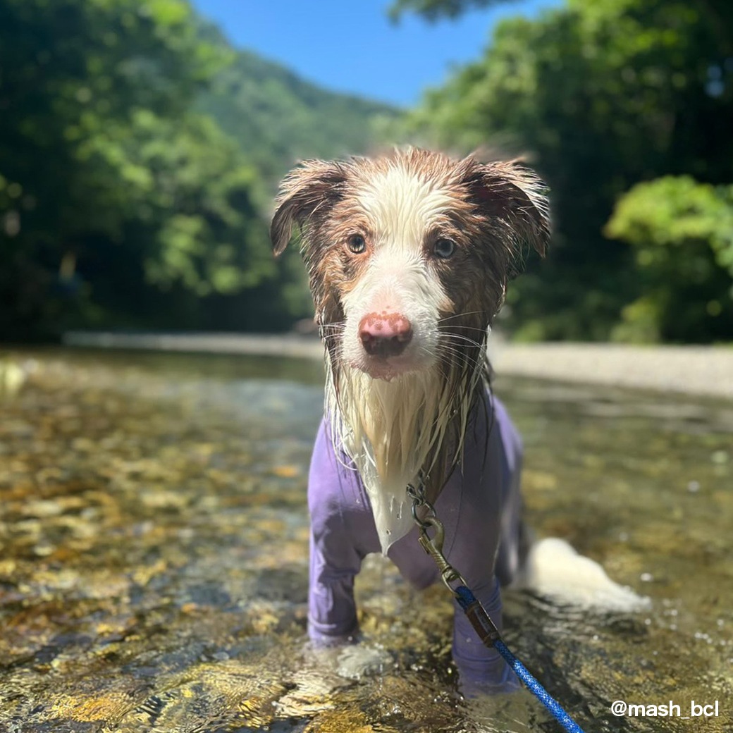 INSECT SHIELD SKIN TIGHT SUIT