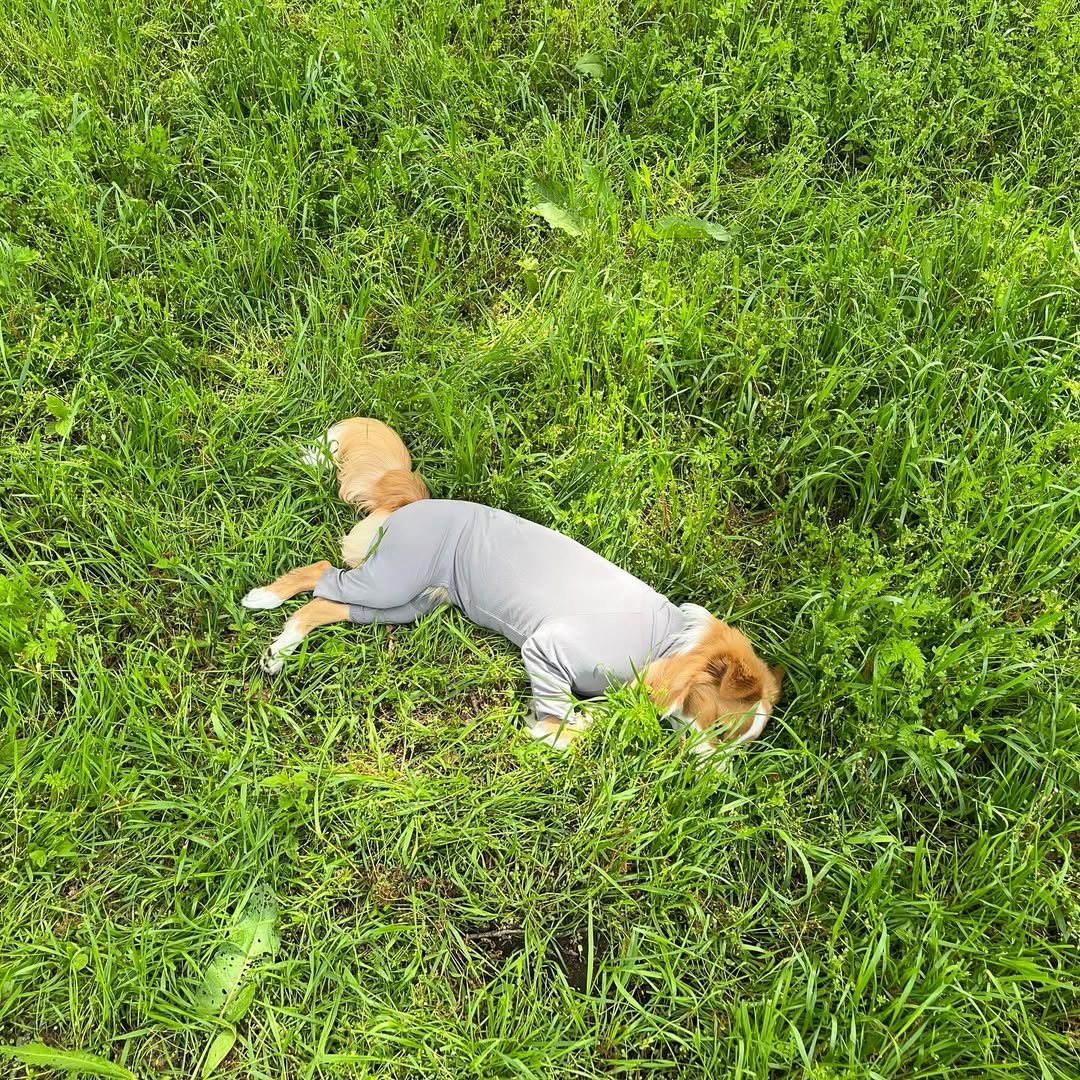 INSECT SHIELD SKIN TIGHT SUIT