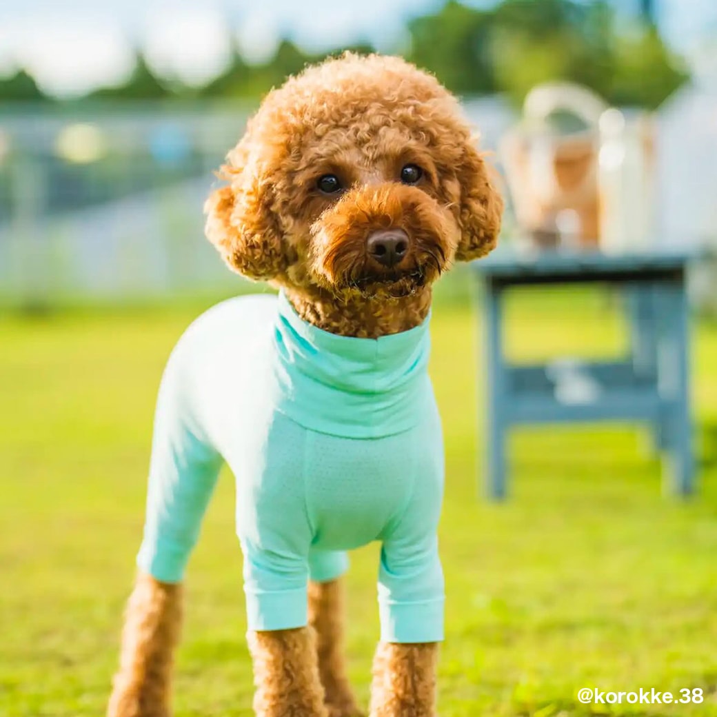 INSECT SHIELD SKIN TIGHT SUIT