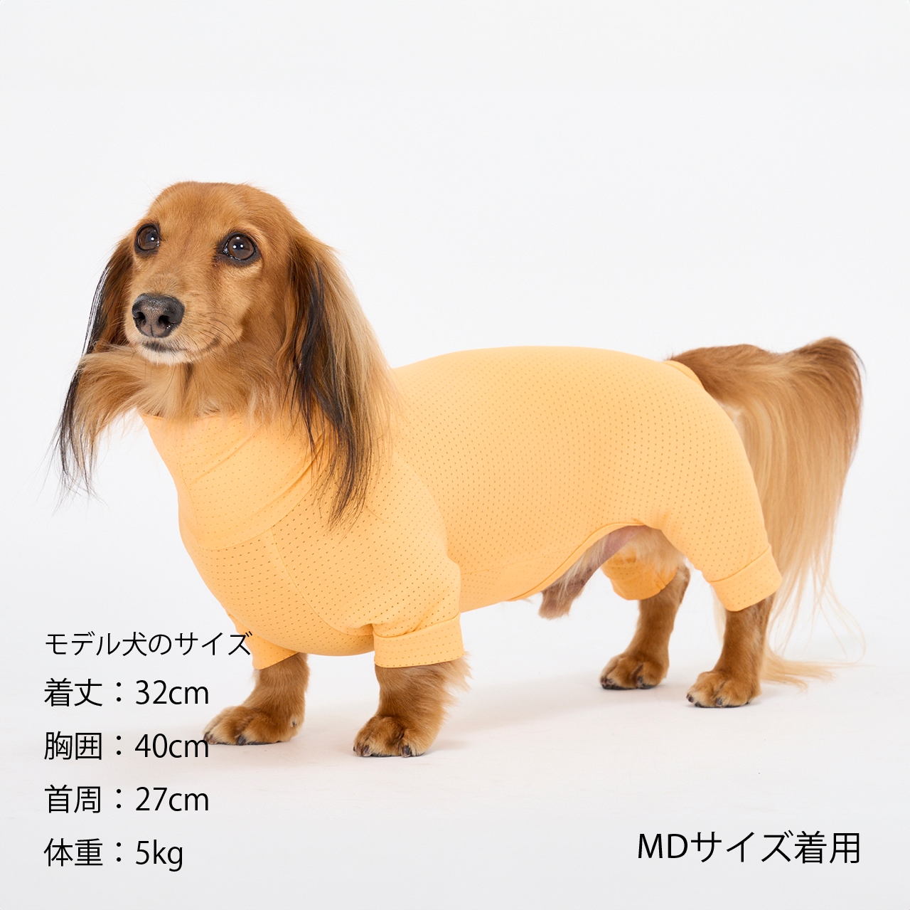 INSECT SHIELD SKIN TIGHT SUIT | WEAR | 犬服 MANDARINE BROTHERS