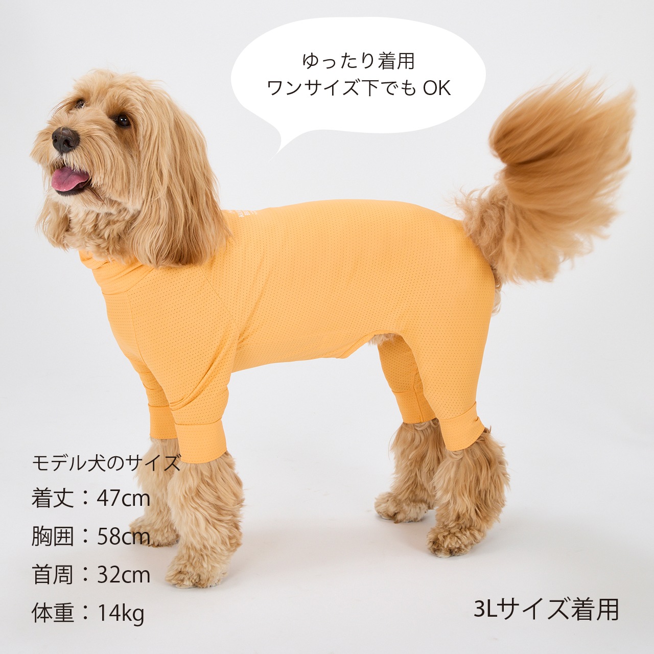 INSECT SHIELD SKIN TIGHT SUIT | WEAR | 犬服 MANDARINE BROTHERS