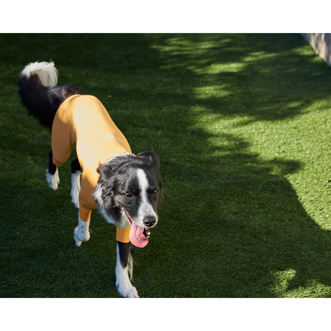 INSECT SHIELD SKIN TIGHT SUIT