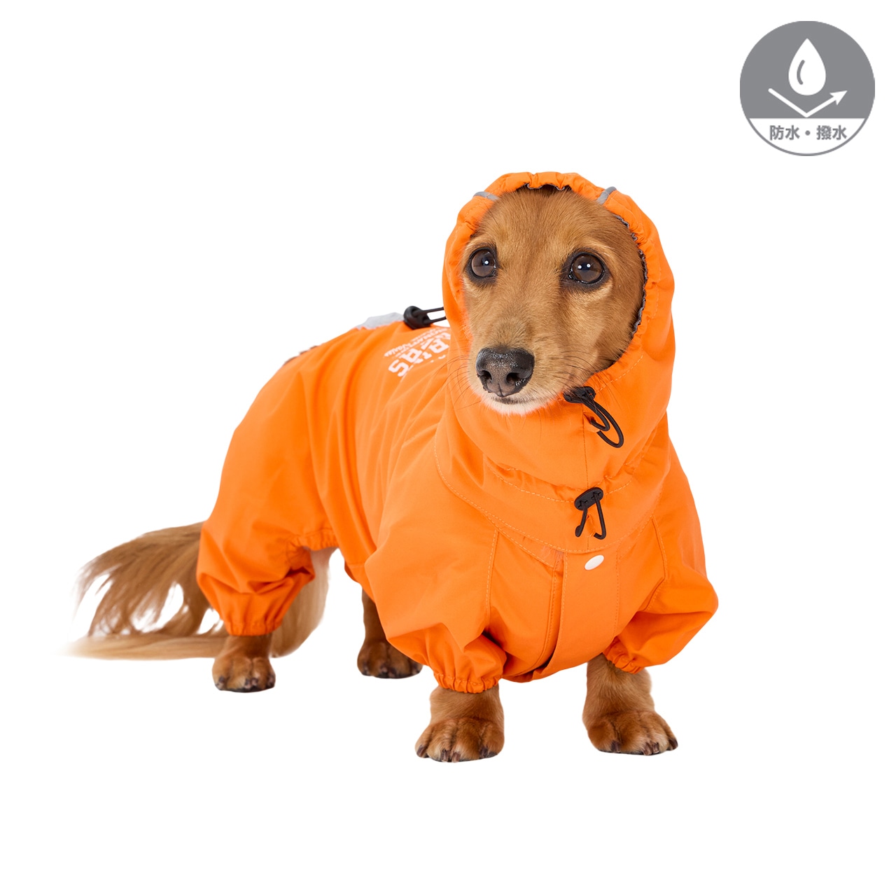 RAIN SUIT | WEAR | 犬服 MANDARINE BROTHERS マンダリンブラザーズ公式