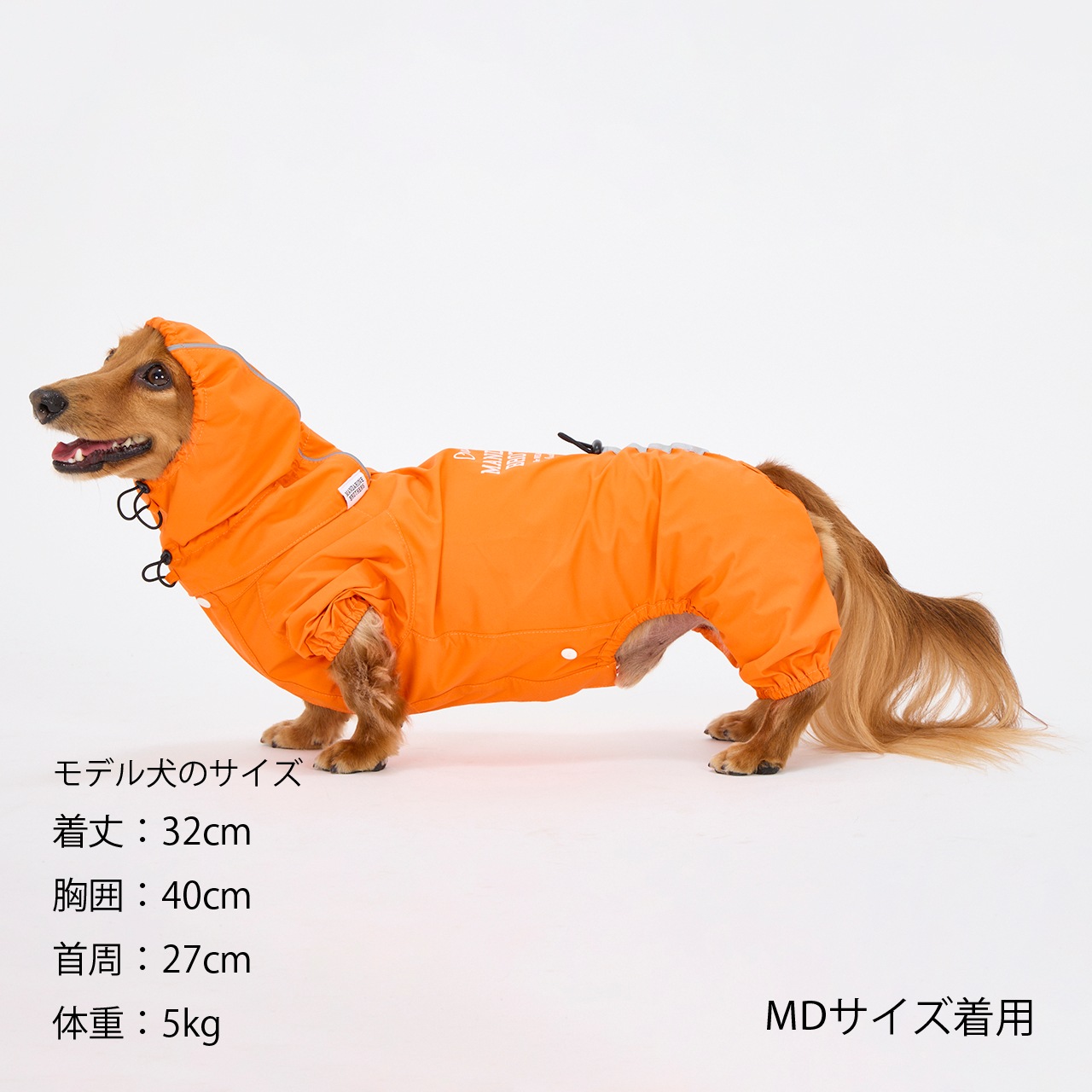 RAIN SUIT | WEAR | 犬服 MANDARINE BROTHERS マンダリンブラザーズ公式