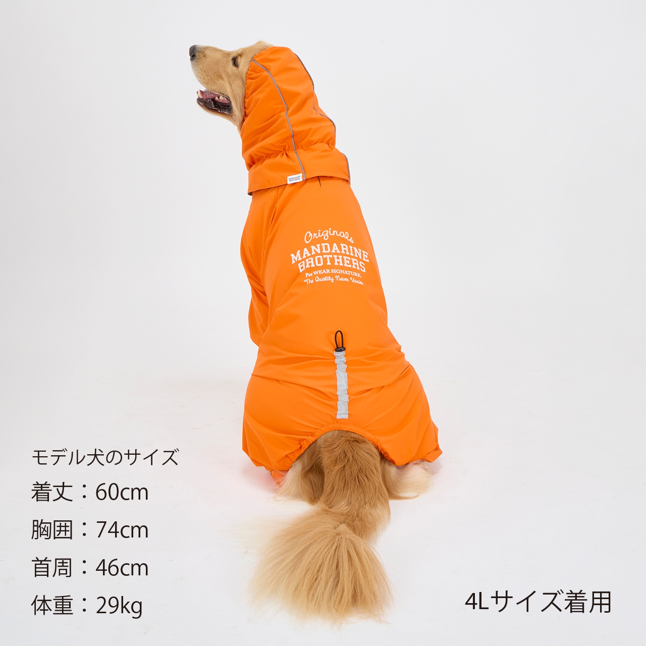 RAIN SUIT | WEAR | 犬服 MANDARINE BROTHERS マンダリンブラザーズ公式