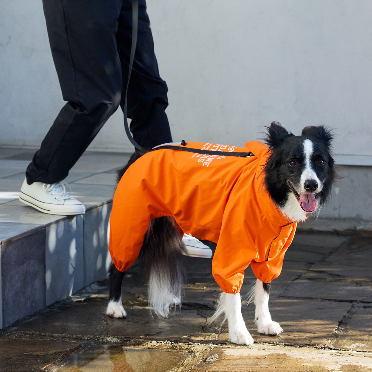 RAIN SUIT