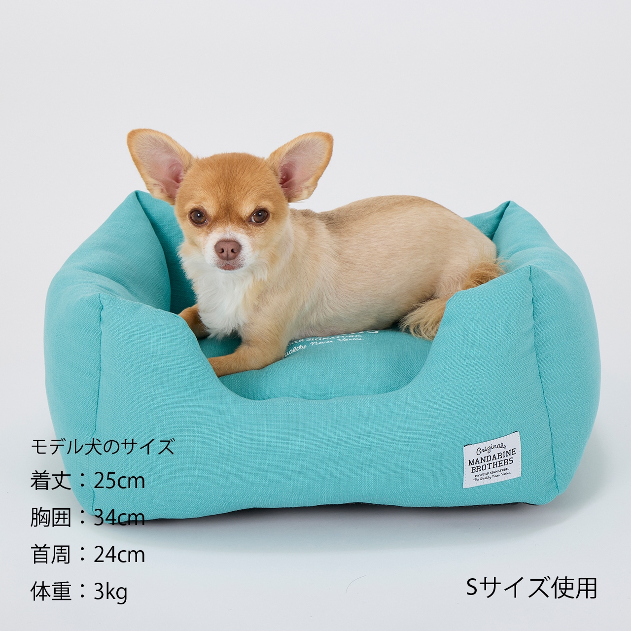 CUDDLER　2026年春夏新作