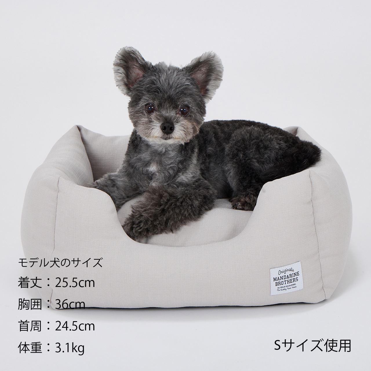 CUDDLER　2026年春夏新作